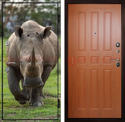 Металлическая дверь с фотопечатью носорога ДФ-31 в Жуковском