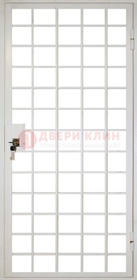 Белая металлическая решетчатая дверь ДР-2 в Жуковском